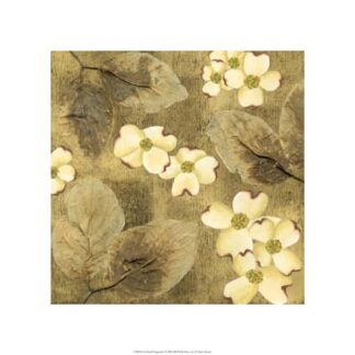 Sun-kissed Dogwoods I