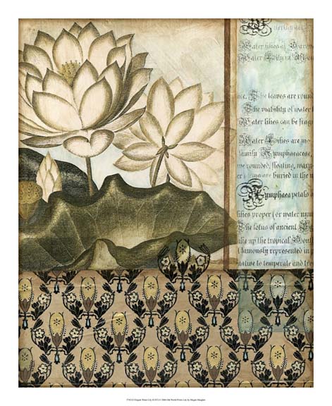 Elegant Water Lily II