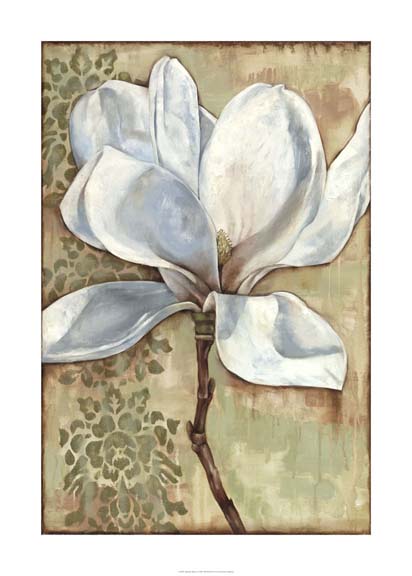 Magnolia Majesty I