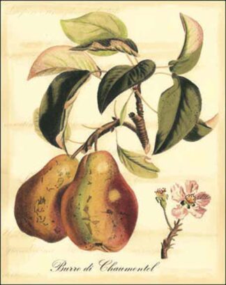 Custom Tuscan Fruits IV (AO)