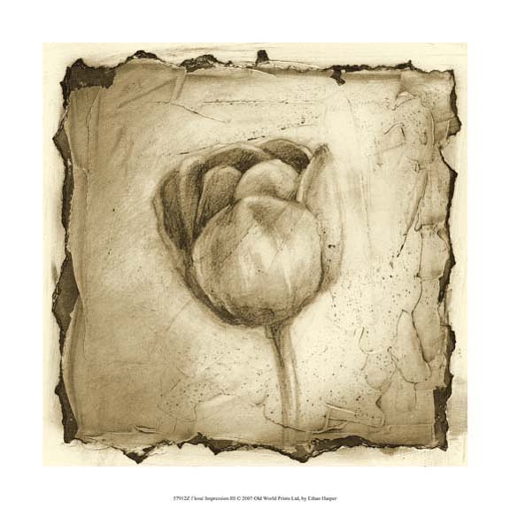 Floral Impression III