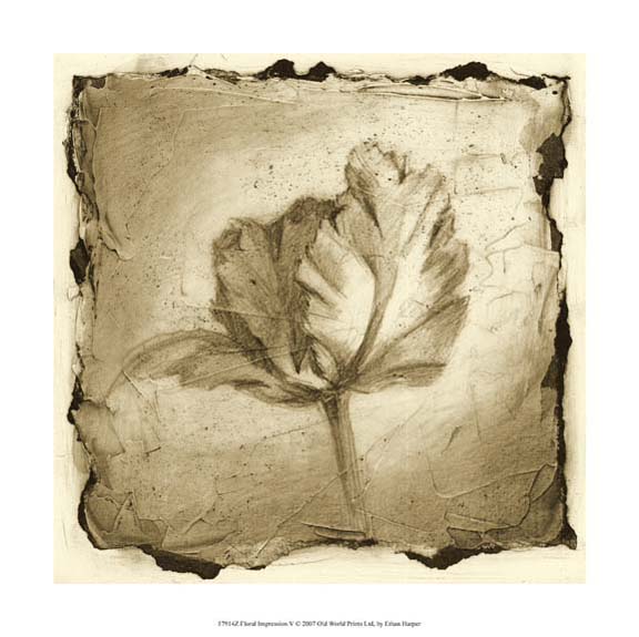 Floral Impression V