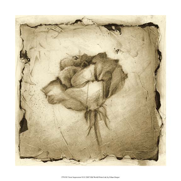 Floral Impression VI