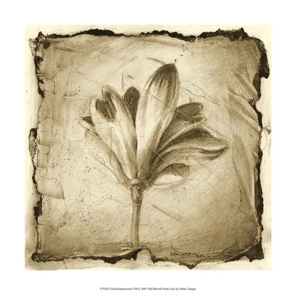 Floral Impression VII