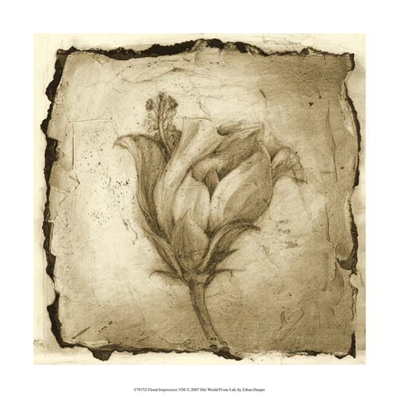 Floral Impression VIII