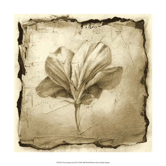 Floral Impression IX