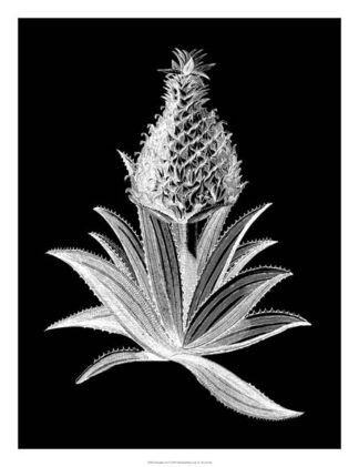 Pineapple Noir I