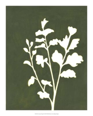 Four Seasons Foliage II