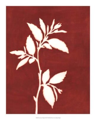 Four Seasons Foliage III