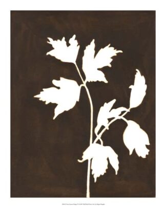 Four Seasons Foliage IV