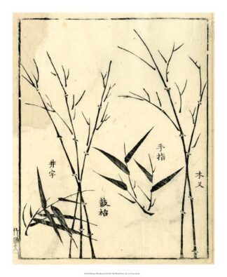 Bamboo Woodblock II