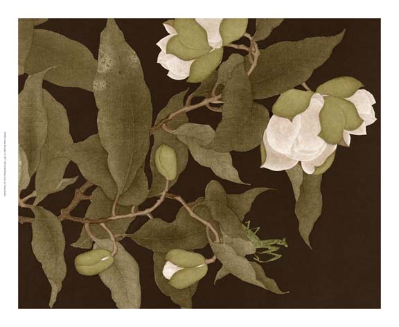 Asian Brocade I - Picture This Wall Art