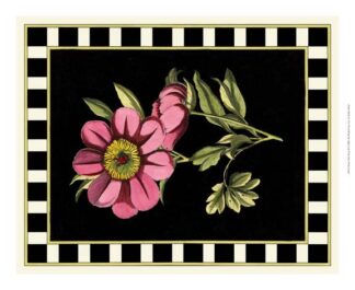 Besler Pink Peony III