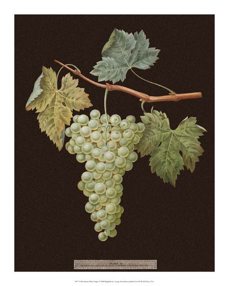 Brookshaw White Grapes