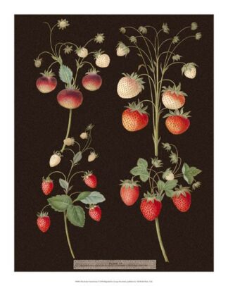 Brookshaw Strawberries