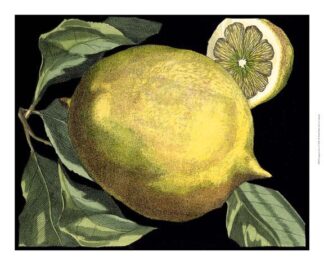 Fragrant Citrus I