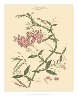 Blushing Pink Florals VI