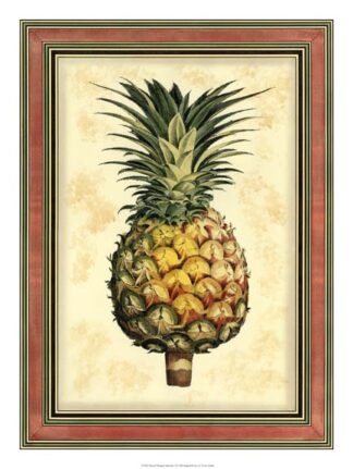 Pineapple Splendor I