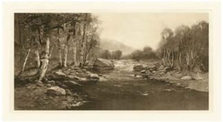 Tranquil Riverscape III