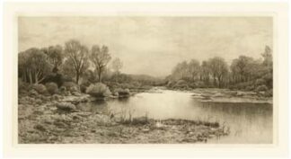 Tranquil Riverscape IV