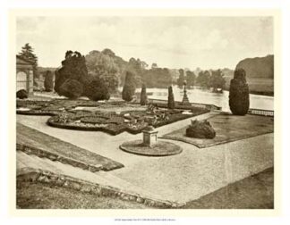 Sepia Garden View III