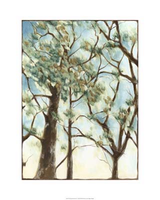 Shenandoah Sunrise II