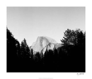Half Dome in Trees