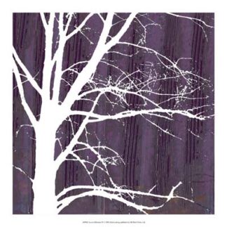 Aurora Silhouette IV