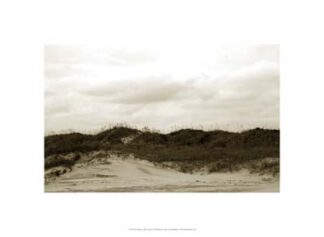 Ocracoke Dune Study I