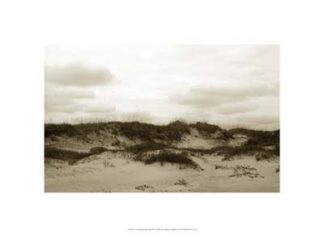 Ocracoke Dune Study III