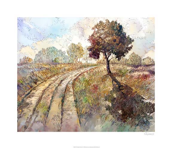 The Warmth of the Day