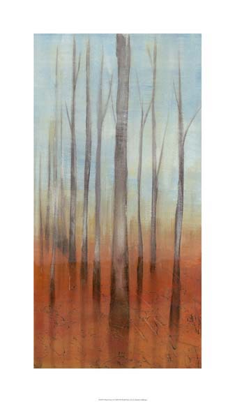 Birch Forest II