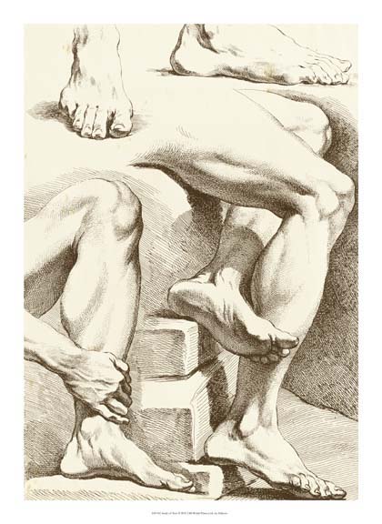 Study of Feet
