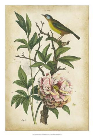 Antique Bird in Nature II