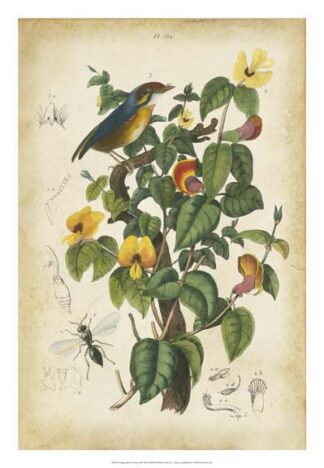 Antique Bird in Nature III