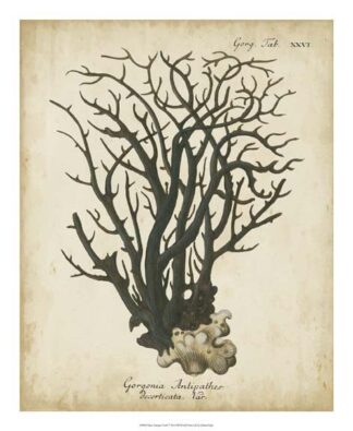 Esper Antique Coral I