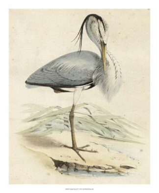 Antique Heron IV