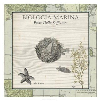 Biologia Marina II