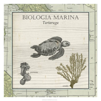 Biologia Marina IV