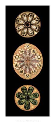 Kaleidoscope Anemone II