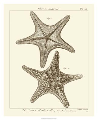 Striking Starfish II