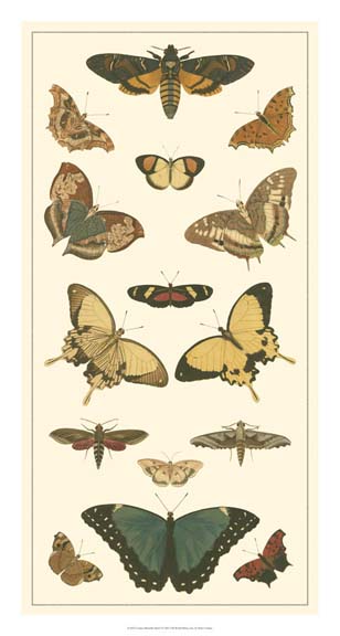 Cramer Butterfly Panel I