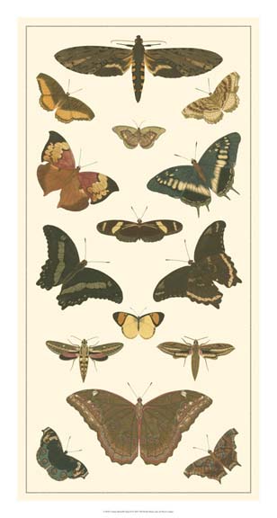 Cramer Butterfly Panel II