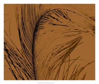 Feathered Impression I