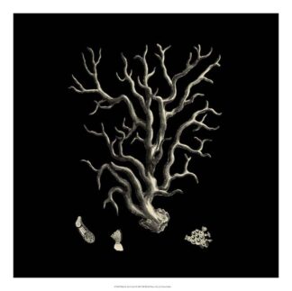 Black and Tan Coral I