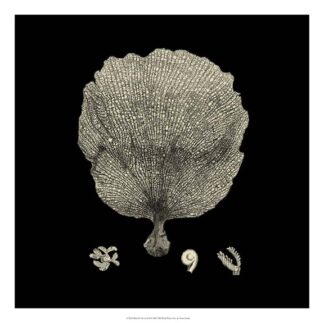 Black and Tan Coral II