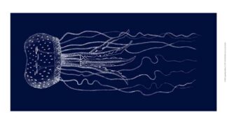 Languishing Drifters I