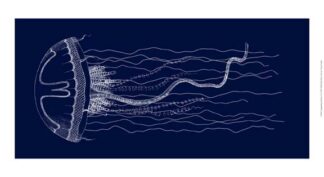 Languishing Drifters II