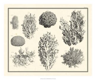 Aegean Collection IV