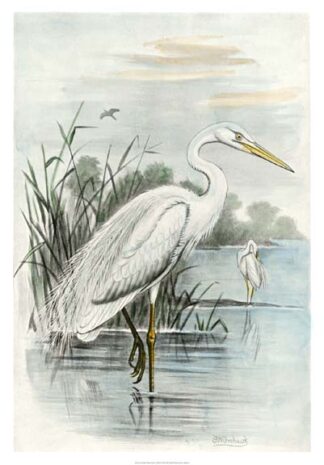 Oversize White Heron